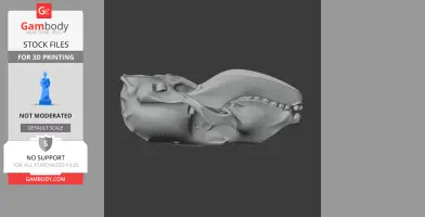 Common Seal Skull