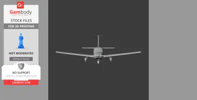Piper Cherokee Plane