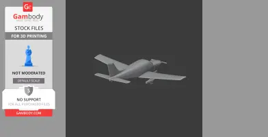 Piper Cherokee Plane
