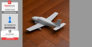 Piper Cherokee Plane