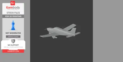 Piper Cherokee Plane