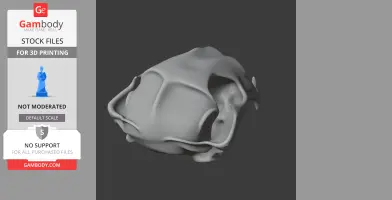 Cougar Skull
