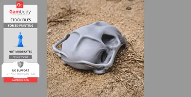 Cougar Skull