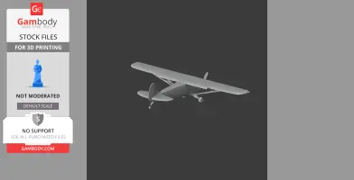 Piper Cub Plane