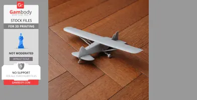 Piper Cub Plane
