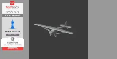 Piper Cub Plane