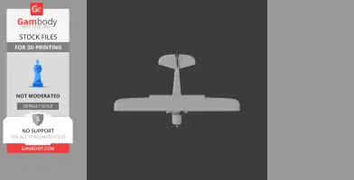 Piper Cub Plane