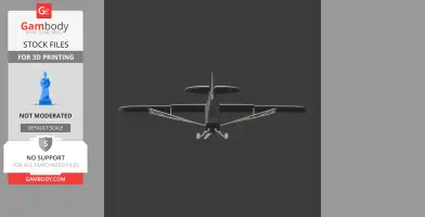 Piper Cub Plane