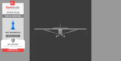 Piper Cub Plane