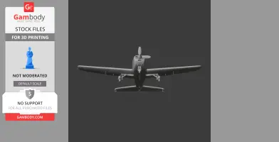 Piper PA-28 Plane