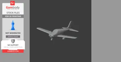 Piper PA-28 Plane