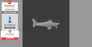 Piper PA-28 Plane