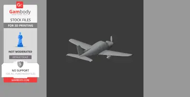 Piper PA-28 Plane