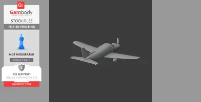 Piper PA-28 Plane