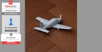 Piper PA-28 Plane
