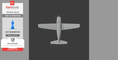 Piper PA-28 Plane
