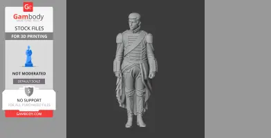 Charles Nansouty Napoleonic Soldier
