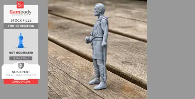 Cincinnatus Roman Legionary