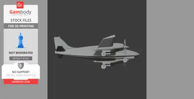 Piper PA-34 Plane