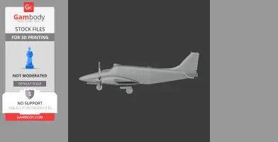 Piper PA-34 Plane