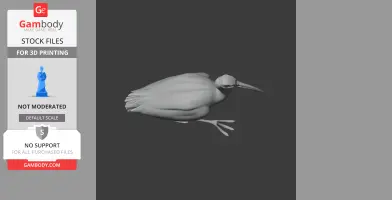 Ibis