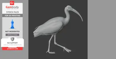 Ibis