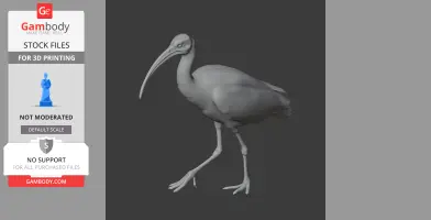 Ibis