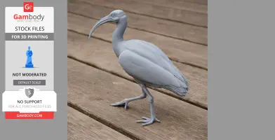 Ibis