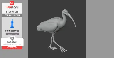 Ibis