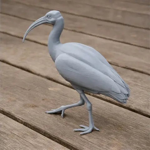Ibis