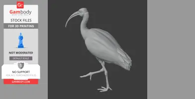 Ibis