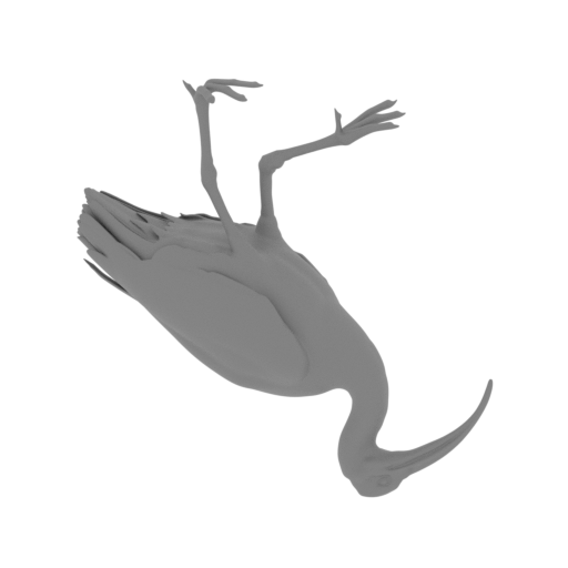 Ibis.stl