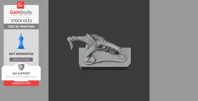 Claude Pajol Napoleonic Soldier