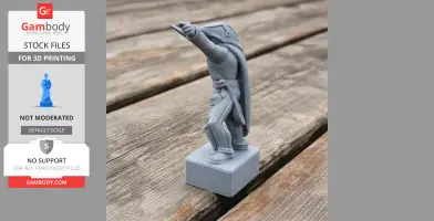 Claude Pajol Napoleonic Soldier