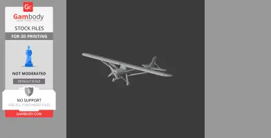 Storch Plane