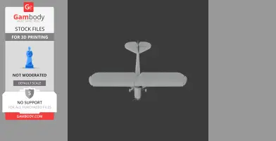 Storch Plane