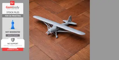 Storch Plane