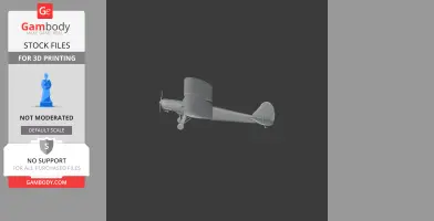 Storch Plane