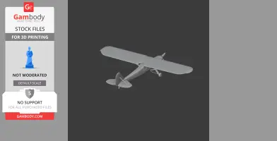 Storch Plane
