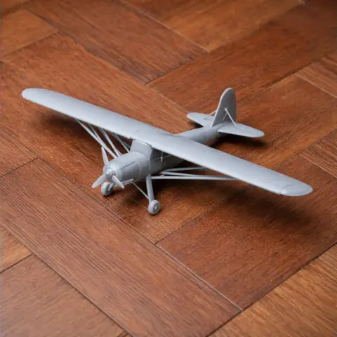 Storch Plane