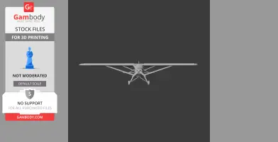 Storch Plane