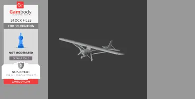 Storch Plane