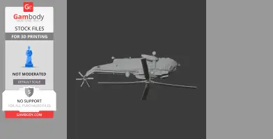 Westland Sea King Helicopter