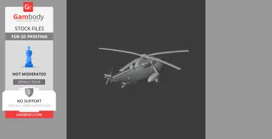 Westland Sea King Helicopter