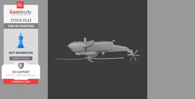 Westland Sea King Helicopter