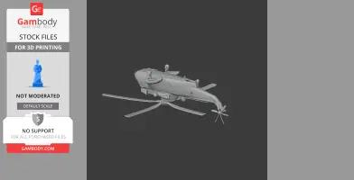 Westland Sea King Helicopter