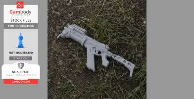 D5 Sidewinder cyberpunk 2077
