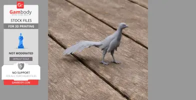 Jinfengopteryx