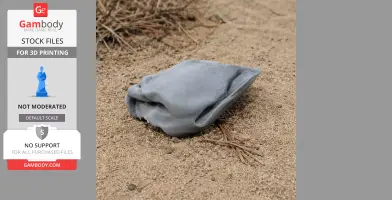 Aepyornis maximus Skull