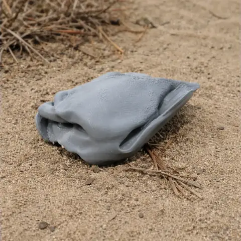 Aepyornis maximus Skull